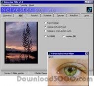 Netvester 2002 screenshot